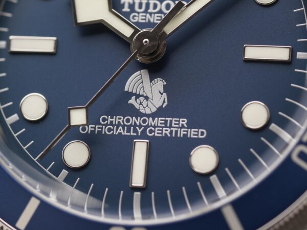 montre Tudor